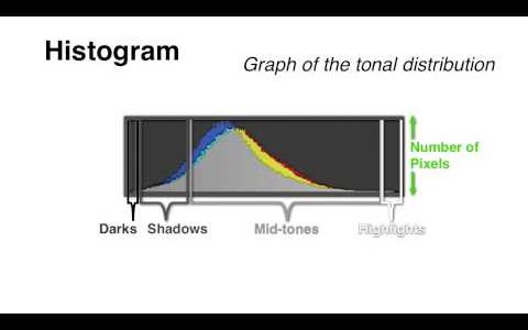 Understanding Your Camera’s Histogram