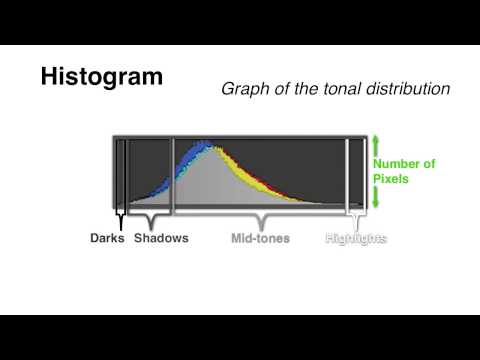 Understanding Your Camera’s Histogram